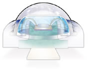 1452742820842093.jpg 3.jpg